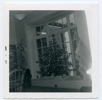 Christmas Tree in Window Bay
