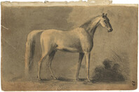 Sketch of a horse