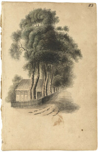 Sketch of cottage and tree-lined road