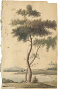 Landscape sketch of trees and castle