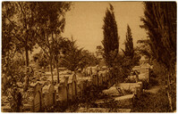 A cemetery in Zammarin / קברות חלוצי חדרה בזכרון יעקב