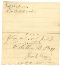 Letter from P.R. Lachicotte & Sons to Dr. Arthur B. Flagg, 1882
