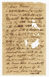 Letter to Charlotte A. Allston from her Overseer Concerning the Death of an Enslaved Person, February 24th, 1823
