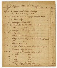 Medical Bill from Dr. Robert Nesbit to the Estate of Benjamin Allston, 1809