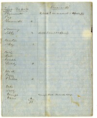 Newton Plantation Slave Lists and Blanket Distribution Book, 1854-1861