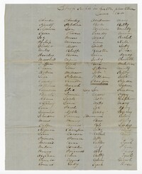 List of 289 Enslaved Persons at Delta Plantation, June 1860