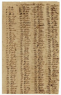 List of 274 Enslaved Persons at Limerick Plantation, 1810