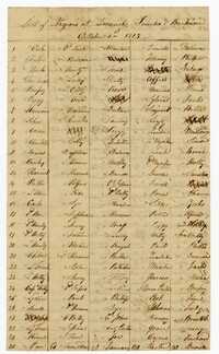 List of Enslaved Persons at Limerick, Jericho, and Back River Plantations, 1813