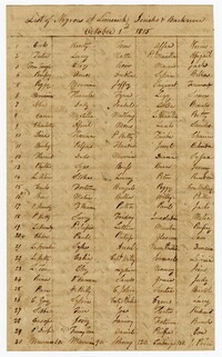 List of Enslaved Persons at Limerick, Jericho, and Back River Plantations, 1815