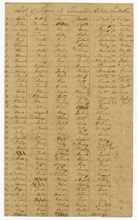 List of Enslaved Persons at Limerick, Quinby, and Jericho Plantations, 1816