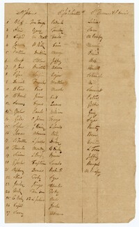 List of Enslaved Men Liable for Road Duty at Limerick, Quinby, and Jericho Plantations, 1817