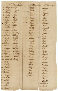 List of Enslaved Men Liable for Road Duty at Limerick, Quinby, and Jericho Plantations, 1818