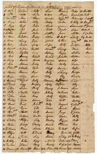 List of Enslaved Persons at Limerick, Quinby, and Jericho Plantations, 1818