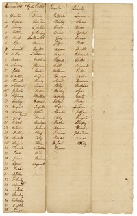 Enslaved Men Liable for Road Duty from Limerick, Jericho, and Quinby Plantations, 1819