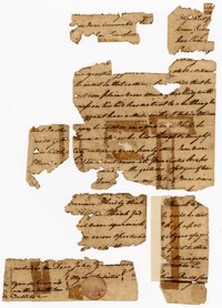 Fragments of a Letter from Elias Ball III to his Brother John Ball, n.d.
