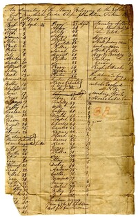 Inventory of the Enslaved Persons and Stock Belonging to Col. Benjamin Garden at Chessey Plantation, 1801