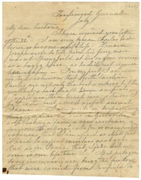 Letter from Emma Pringle Alston to Charles Alston, July 1862
