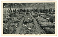 Auction Tale in Tobacco Warehouse, Mullins, S.C.