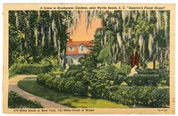 A scene in Brookgreen Gardens