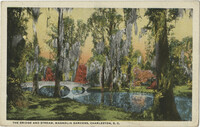 The Bridge and Stream, Magnolia Gardens, Charleston, S.C.