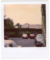 14 Bedon's Alley