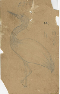 Sketch of egret