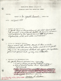 Standing Committee Reporting Format, Youth Council, Charleston Branch of the NAACP, April 4, 1989