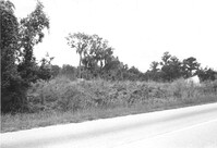 US Route 17 Photo 640