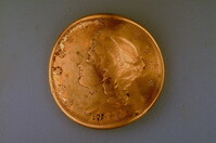 Dixon's gold coin