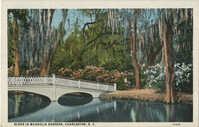 Scene in Magnolia Gardens, Charleston, S.C.