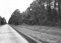US Route 17 Photo 638
