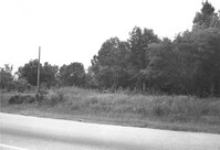 US Route 17 Photo 639
