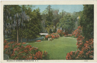 Magnolia Gardens, Charleston, S.C.