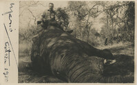 Mario Pansa atop an elephant in Abyssinia, Photograph 1