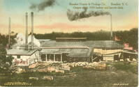 Beaufort Veneer & Packing Company, Beaufort, S.C.  Output about 3500 baskets and barrels daily