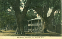 Old Benton Plantation near Beaufort, S.C.
