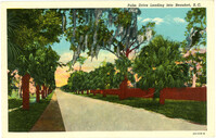 Palm Drive Leading into Beaufort, South Carolina