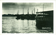 Shrimp Boats. Beaufort, S.C.