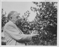 Man Holding Grapes
