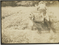 Unidentified Man Operating Agriculture Machinery