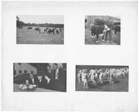 Print of Various Agricultural Photographs