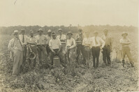Several Men in a Field During a Fertilizer Inspection
