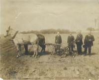 Cotton Chopping Machine and Cultivator