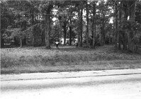 US Route 17 Photo 604
