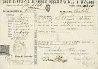 Slave Registry Form, Puerto Rico, February 10, 1868