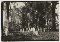 Santee-Cooper Cemetery Investigation 100