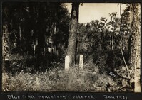 Santee-Cooper Cemetery Investigation 079