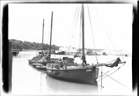 Oyster boats at Port Royal