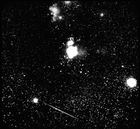 Meteor in Constellation of Orion.  Copyright Yerkes Observatory.