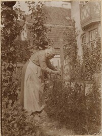 Marie Donner? tending garden, likely Rye, New York